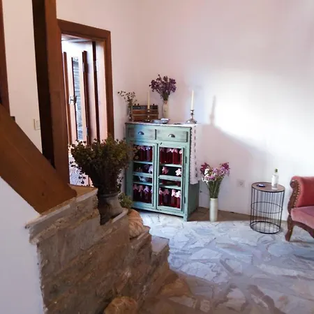 Aycan Hanim Konagi *