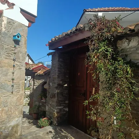 Aycan Hanim Konagi Selcuk