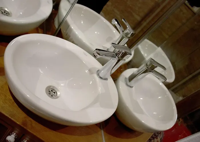 Aycan Hanim Konagi *