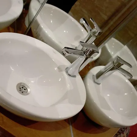 Aycan Hanim Konagi *